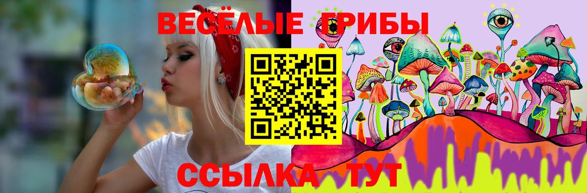 Псилоцибиновые грибы Psilocybine cubensis  Вход с VPN  Миллерово 